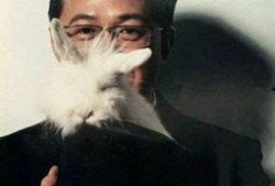 卓伟娱乐圈真实爆料,揭秘明星背后的真实故事