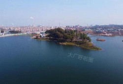 兰溪网友爆料视频最新消息,视频揭露惊人真相！